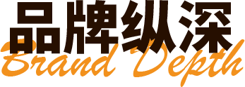 描述
