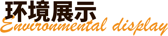 描述