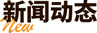 描述