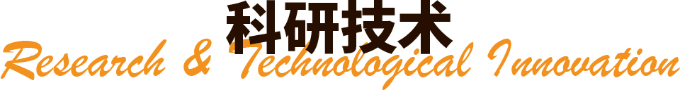 描述