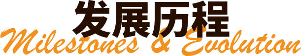 描述