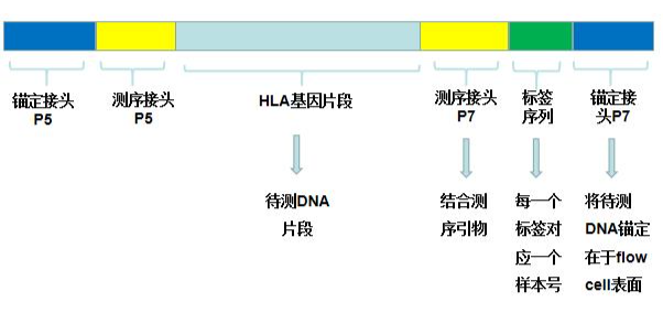 描述