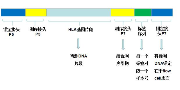 描述