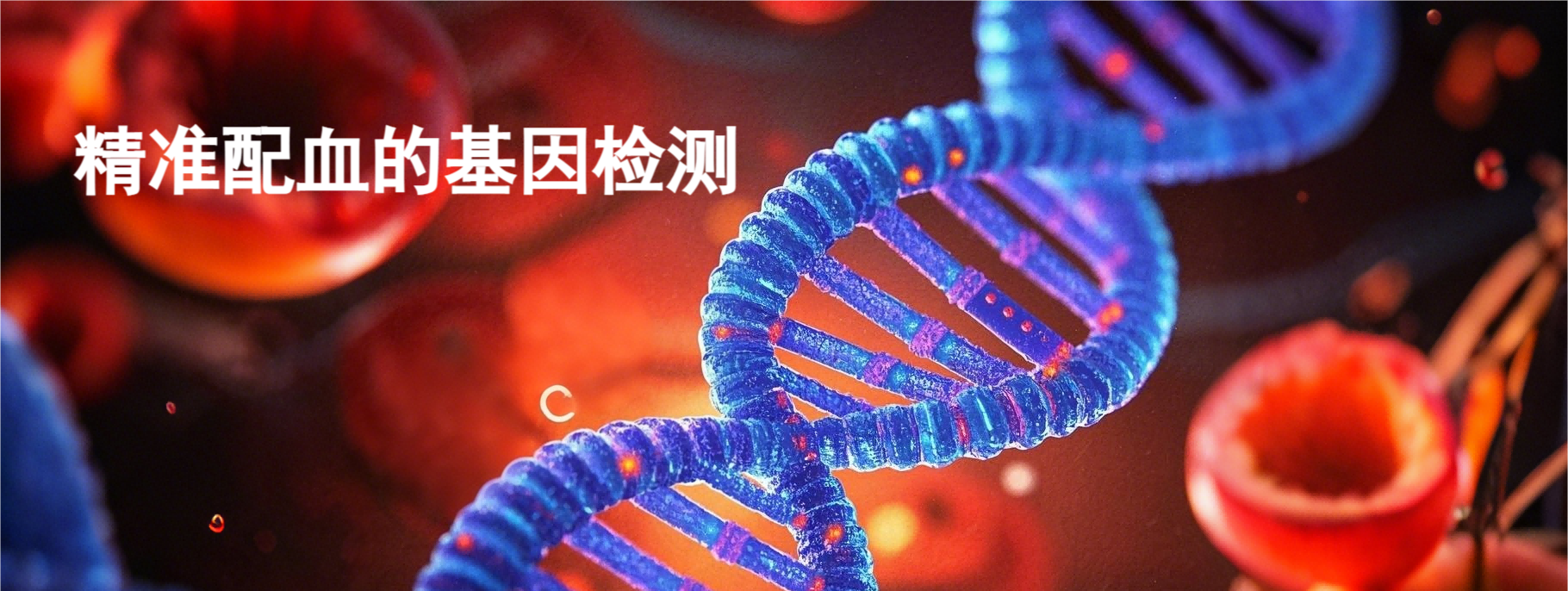 轮播-精准配血(1)
