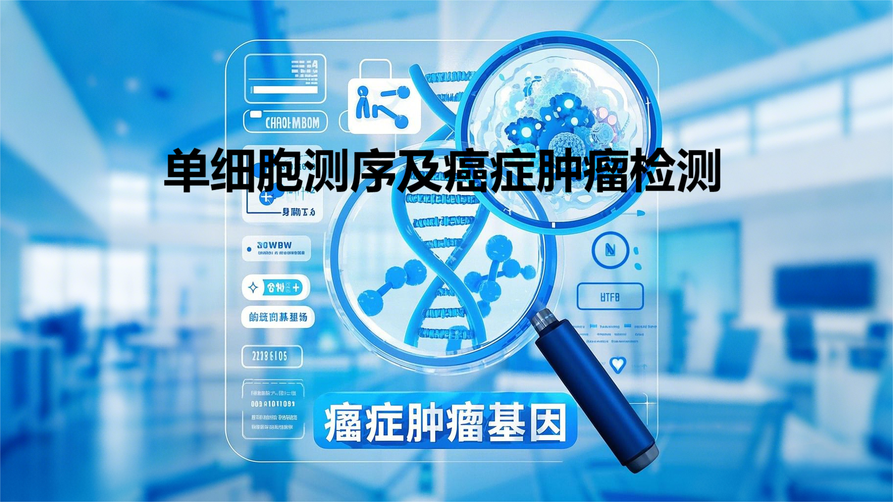 描述