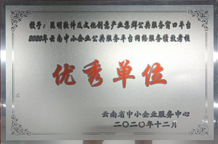 云南中小企业公共服务平台考核优秀单位-2020年