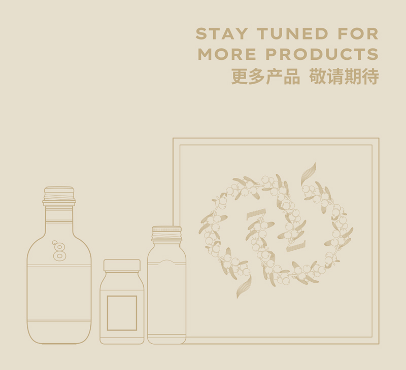 描述