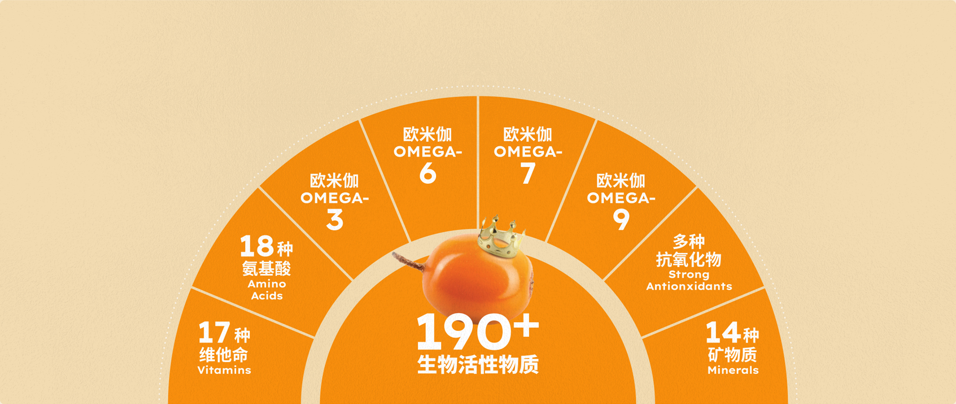 描述