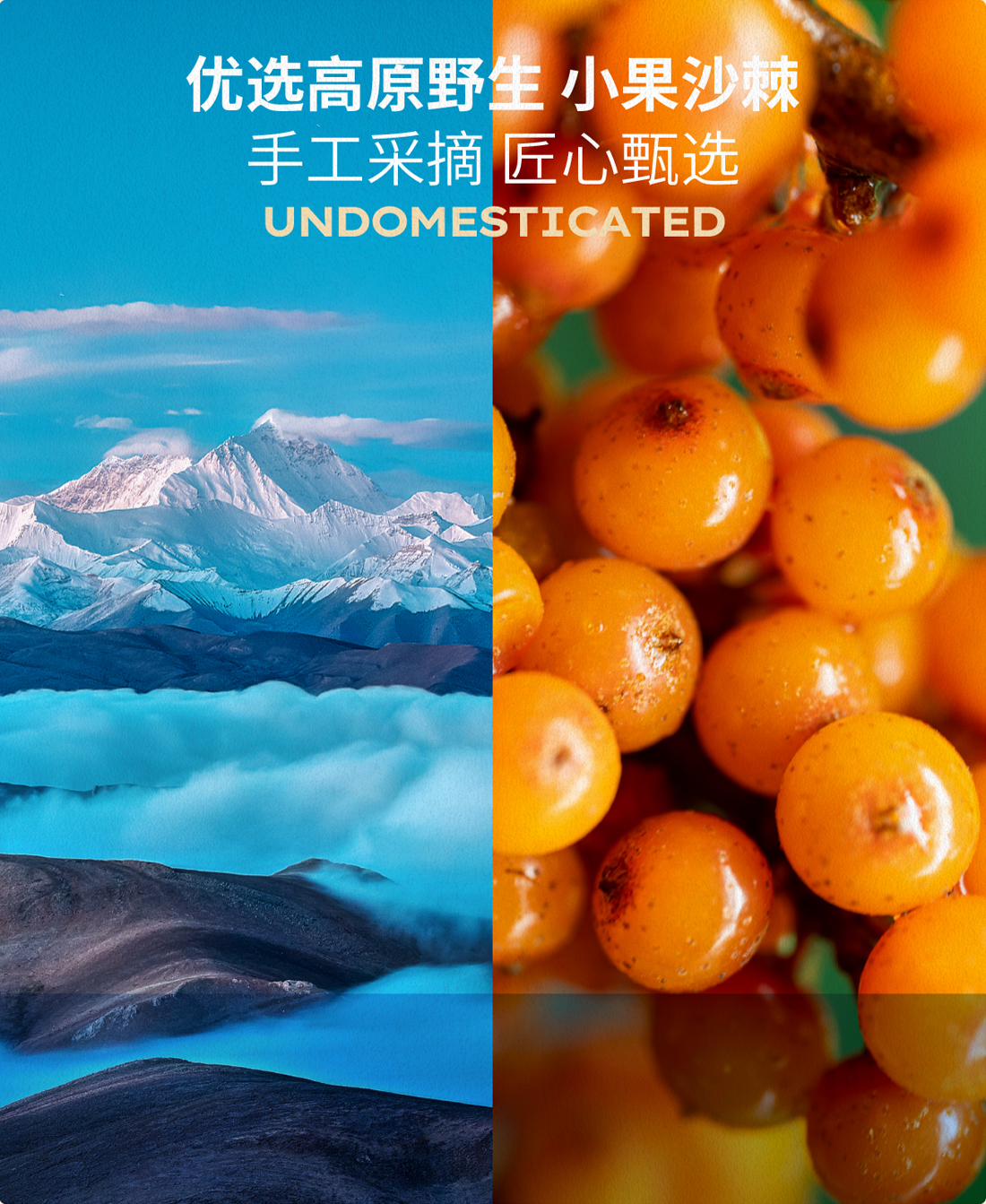 描述