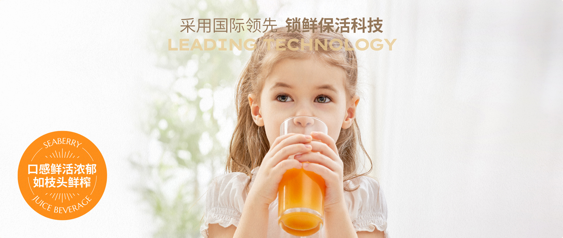 描述