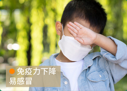 描述