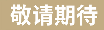 描述