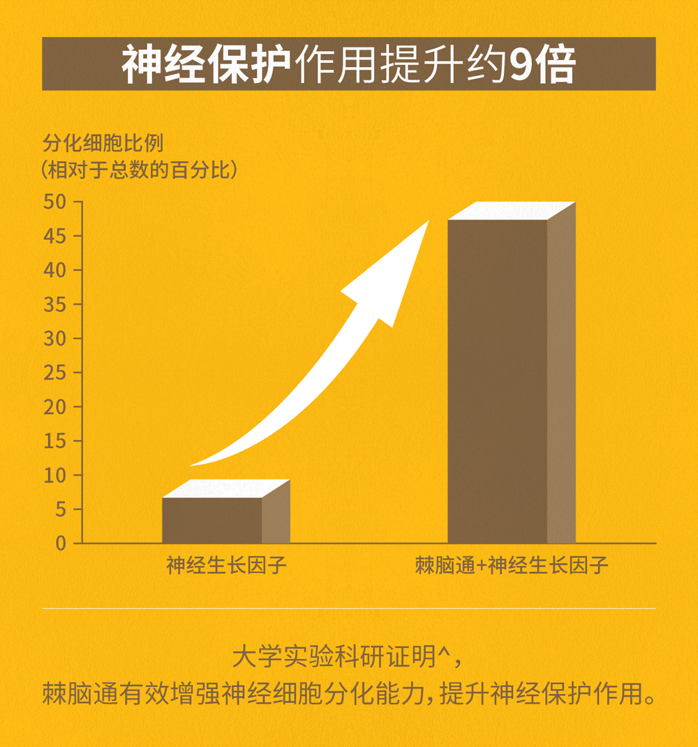 描述
