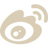 描述