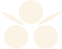 描述