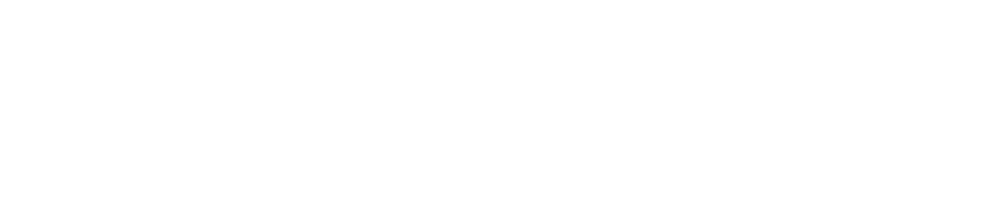 描述