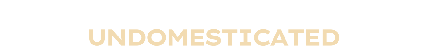 描述