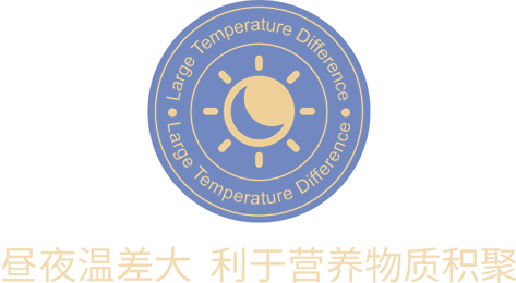 描述