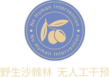 描述