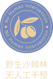 描述