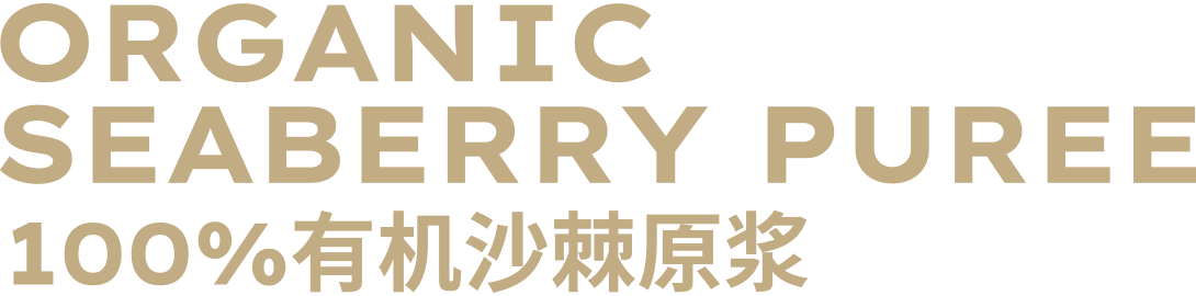 描述