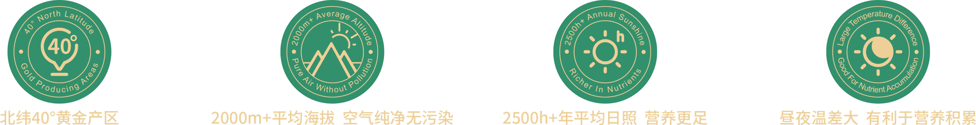 描述