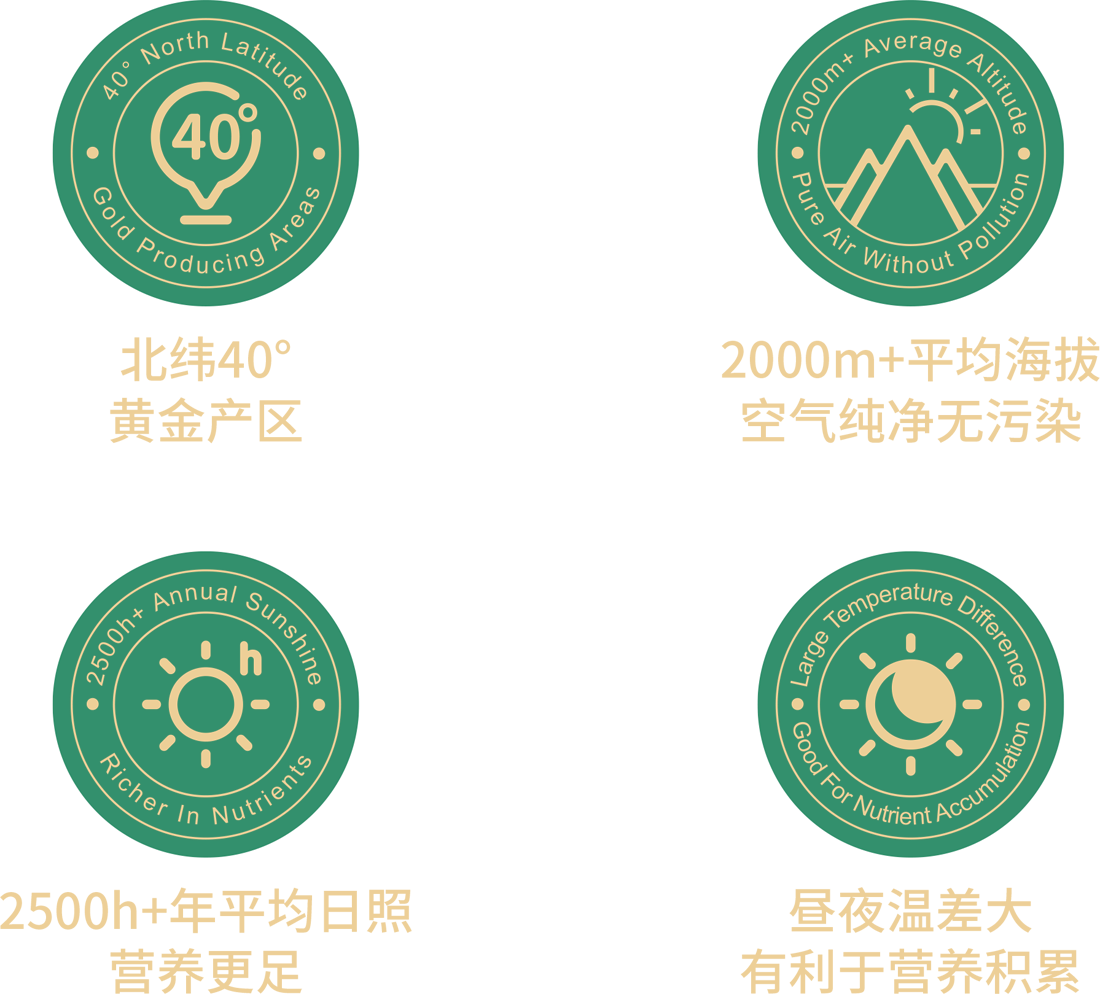 描述