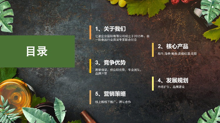 香港健盈投资控股有限公司_Intro (ENG)_02