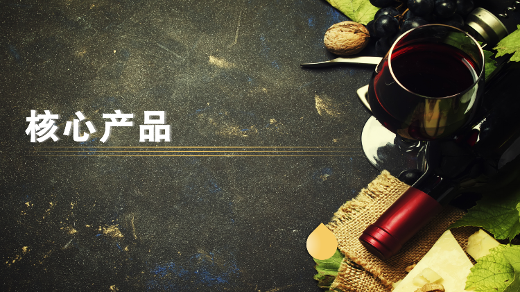 香港健盈投资控股有限公司_Intro (ENG)_05