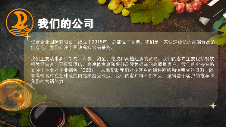 香港健盈投资控股有限公司_Intro (ENG)_04