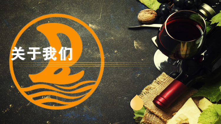 香港健盈投资控股有限公司_Intro (ENG)_03