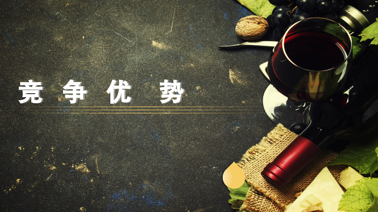 香港健盈投资控股有限公司_Intro (ENG)_11