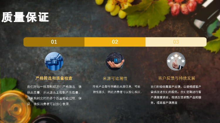 香港健盈投资控股有限公司_Intro (ENG)_12