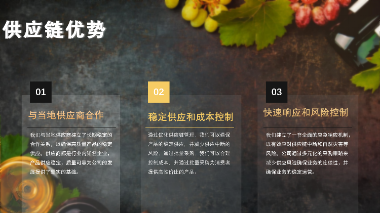 香港健盈投资控股有限公司_Intro (ENG)_13
