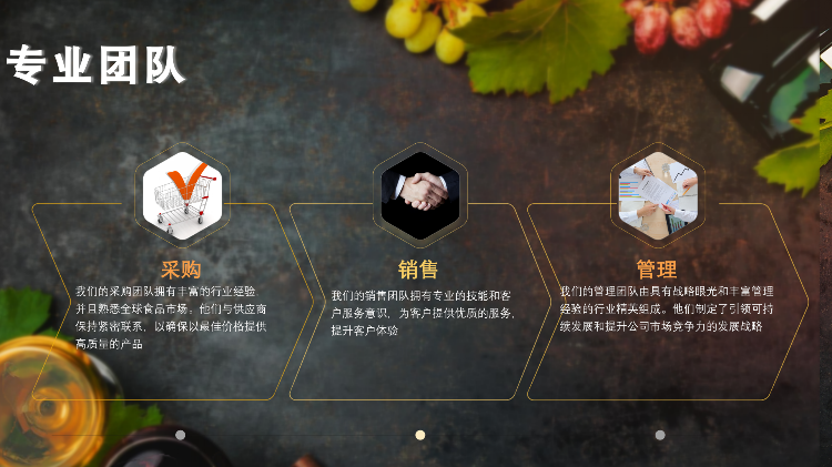 香港健盈投资控股有限公司_Intro (ENG)_14