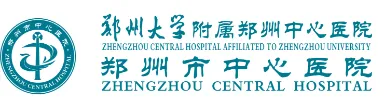 描述