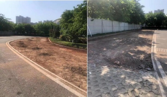 Pictures of the project site