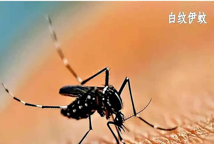 广州存在传播风险！甲醛治理人员如何做好防护措施