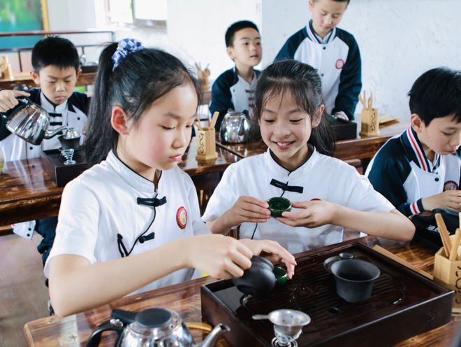 户外采茶研学活动，感受茶文化