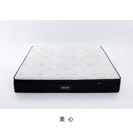 美心