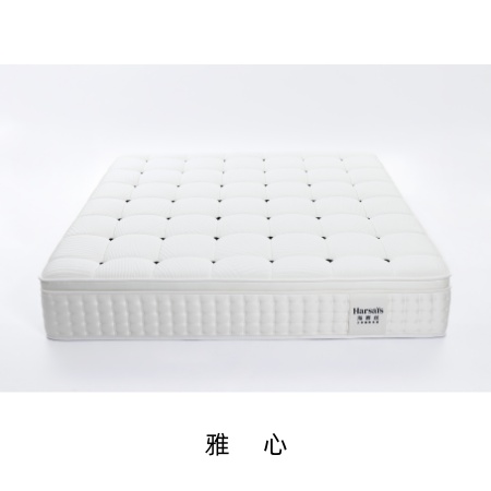 雅心