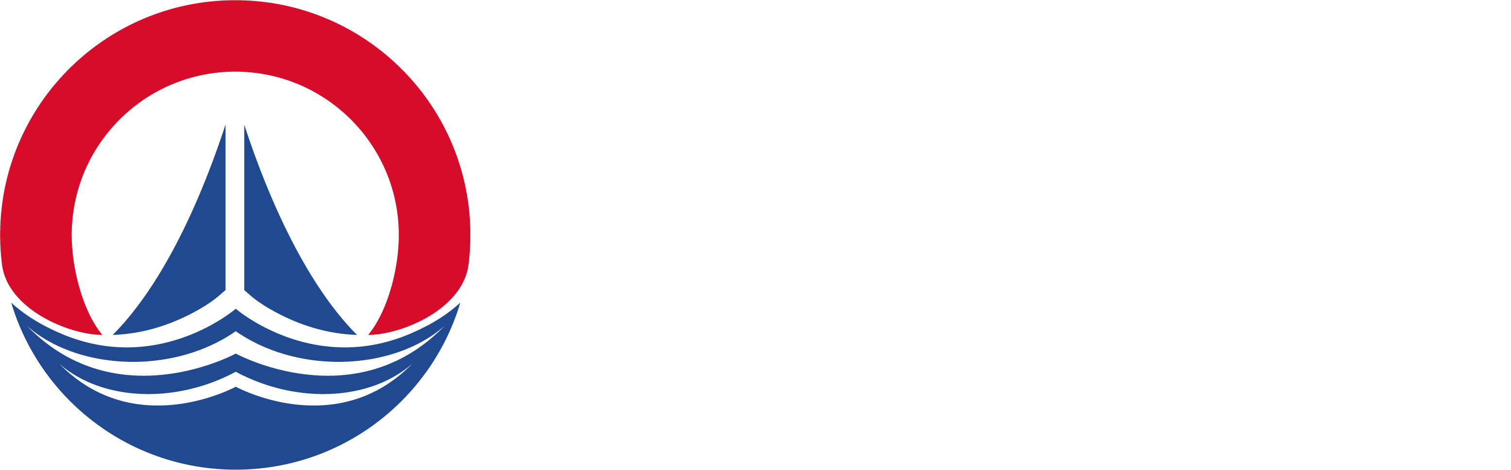 描述