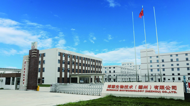 博德生物技术（德州）有限公司办公楼