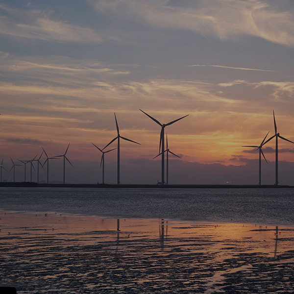 Wind Power