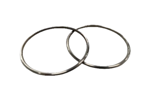 Spring-Energized Seal