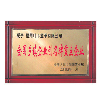 全国乡镇企业创名牌重点企业