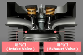 进气门-2本/排气门-2本
1所气缸内共4本气门
