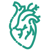 Triglycerides: Reduces elevated blood triglycerides by up to 30%, lowering cardiovascular disease risk.
Blood Pressure: Modest reduction in blood pressure, especially in hypertensive individuals.
Plaque Stabilization: May prevent arterial plaque formation and reduce arrhythmia risk.
Heart Attack/Stroke Prevention: Associated with a 8–10% lower risk of fatal heart events in high-risk populations.
