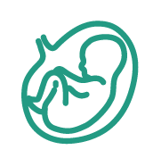 Fetal Brain Growth: Critical for brain and vision development in infants; maternal supplementation is linked to higher IQ and reduced preterm birth risk.
ADHD & Asthma: May reduce ADHD symptoms and childhood asthma prevalence.
