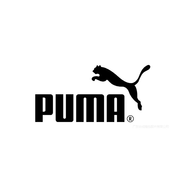 4-Puma 彪马